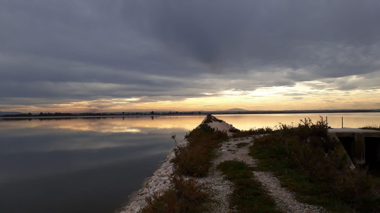 saline di margherita